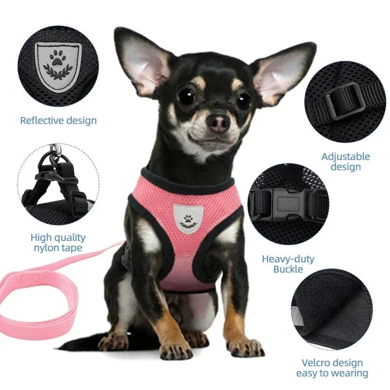 SafeFit™ Pet Harness Vest