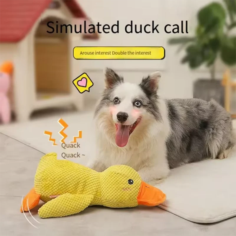 QuackPlay™ Interactive Dog Toy