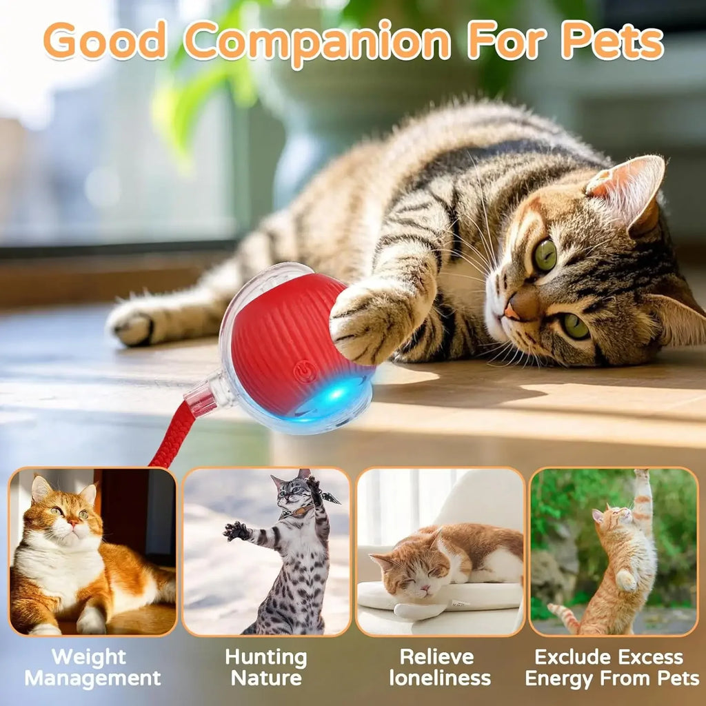 SmartRoll™ Interactive Pet Ball Toy