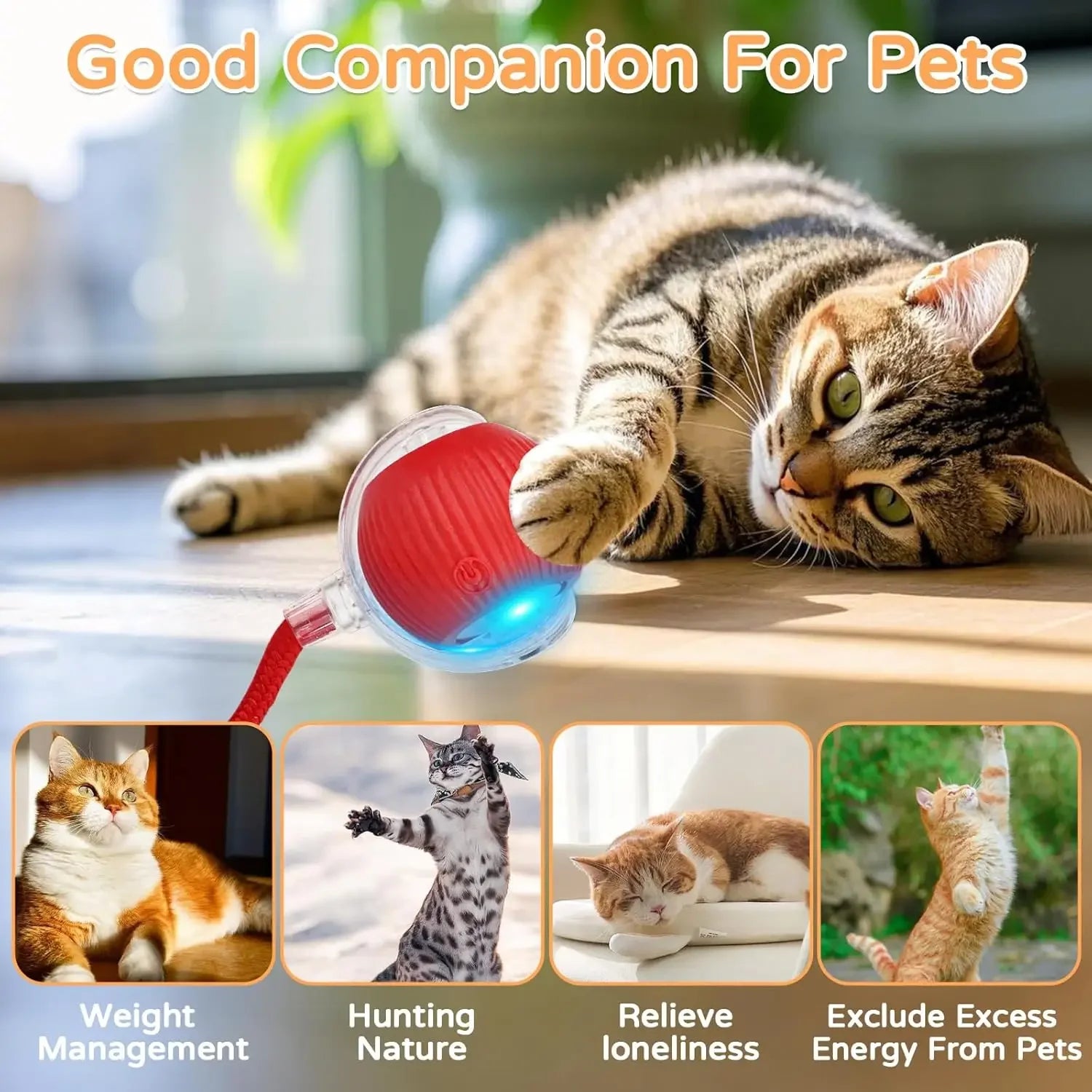 SmartRoll™ Interactive Pet Ball Toy