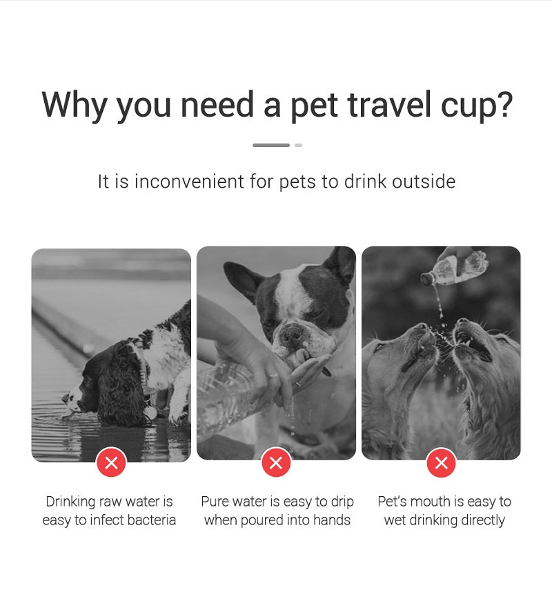 AquaGo™ Portable Pet Water Bottle