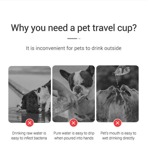 AquaGo™ Portable Pet Water Bottle