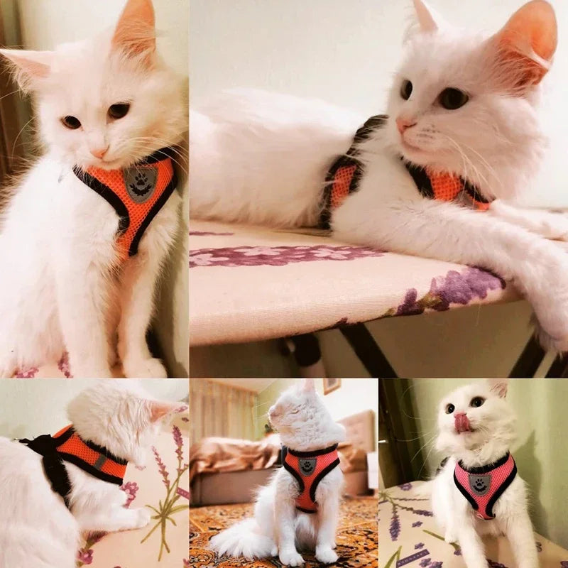 SafeFit™ Pet Harness Vest