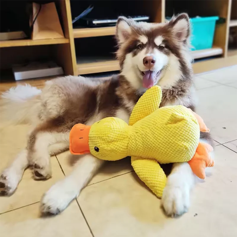 QuackPlay™ Interactive Dog Toy