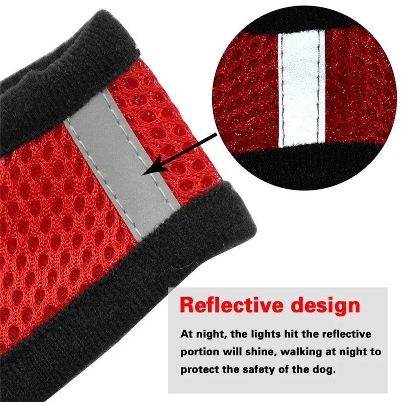 SafeFit™ Pet Harness Vest