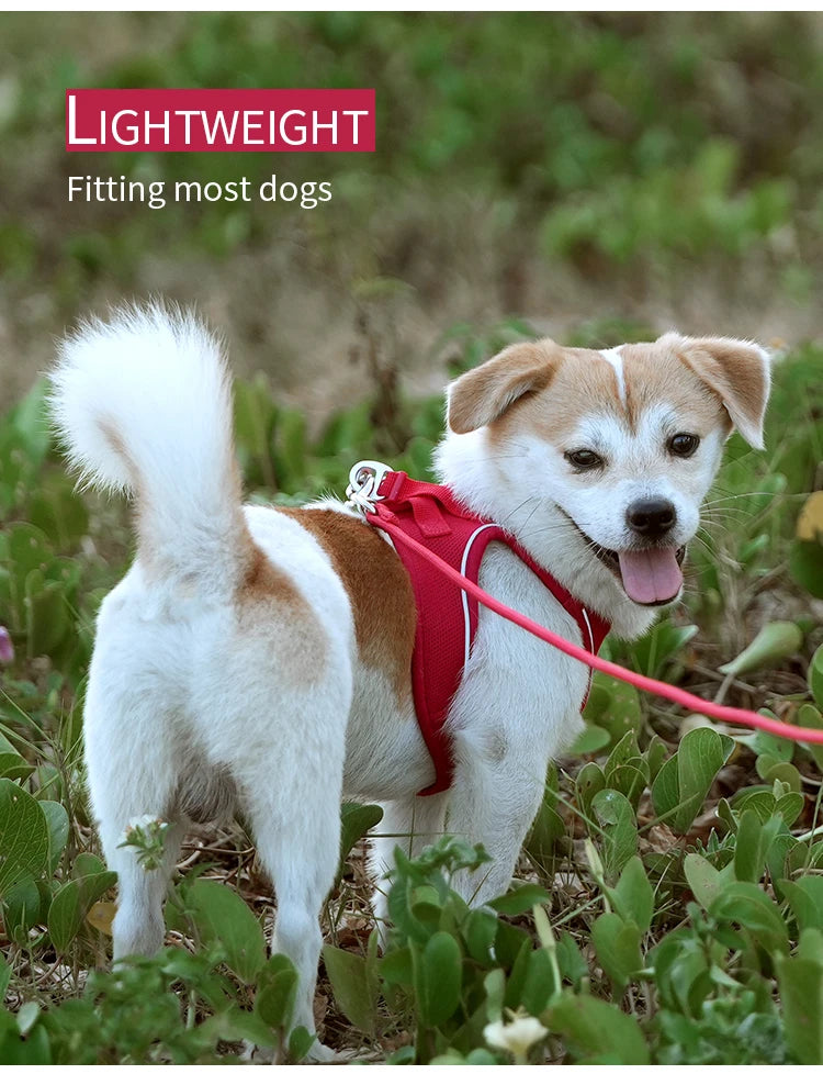 SoftStep™ Reflective Dog Harness & Leash Set