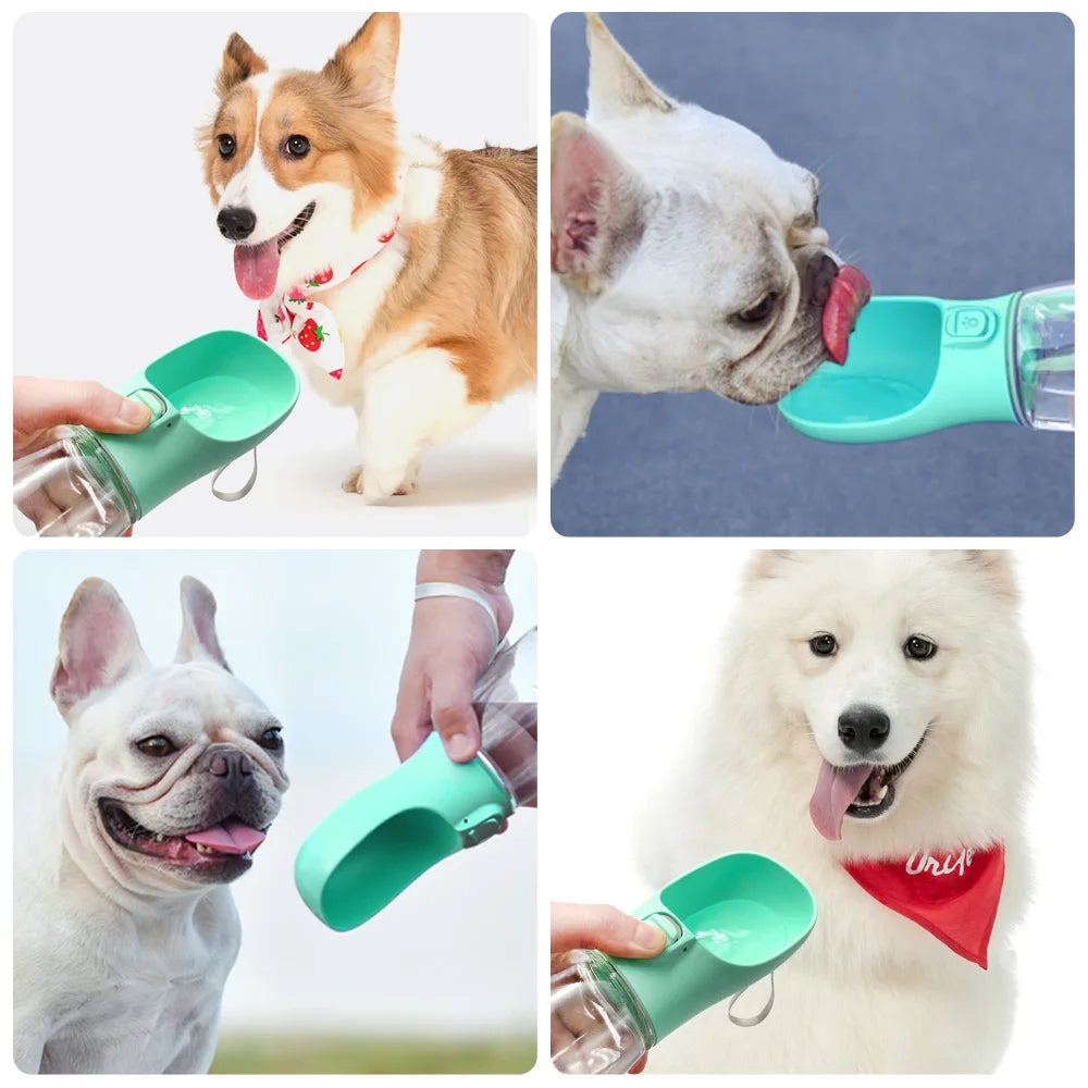 AquaGo™ Portable Pet Water Bottle