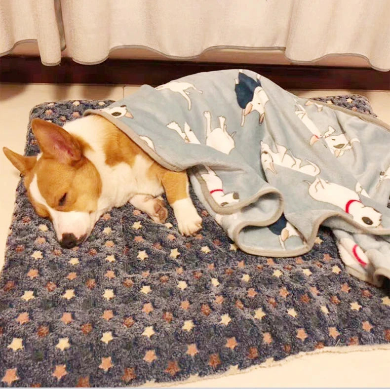 DreamFluff™ Pet Sleeping Mat