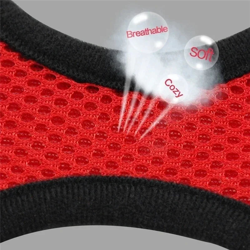 SafeFit™ Pet Harness Vest