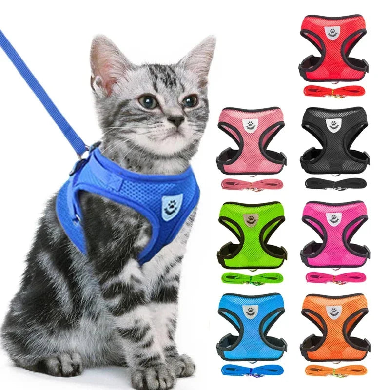 SafeFit™ Pet Harness Vest