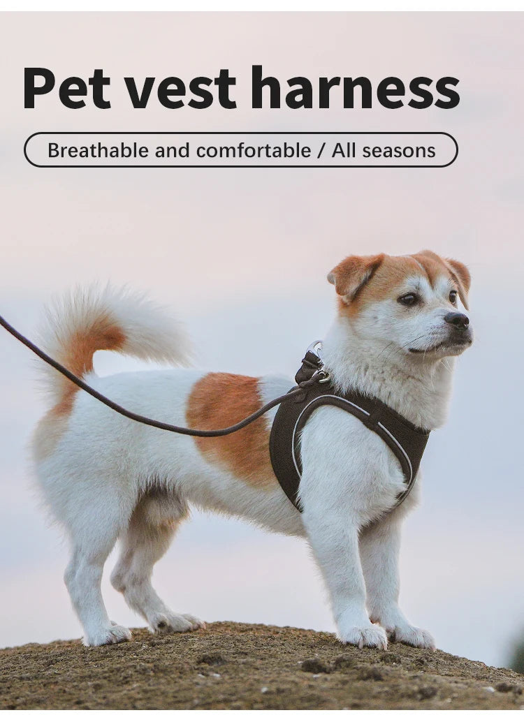 SoftStep™ Reflective Dog Harness & Leash Set