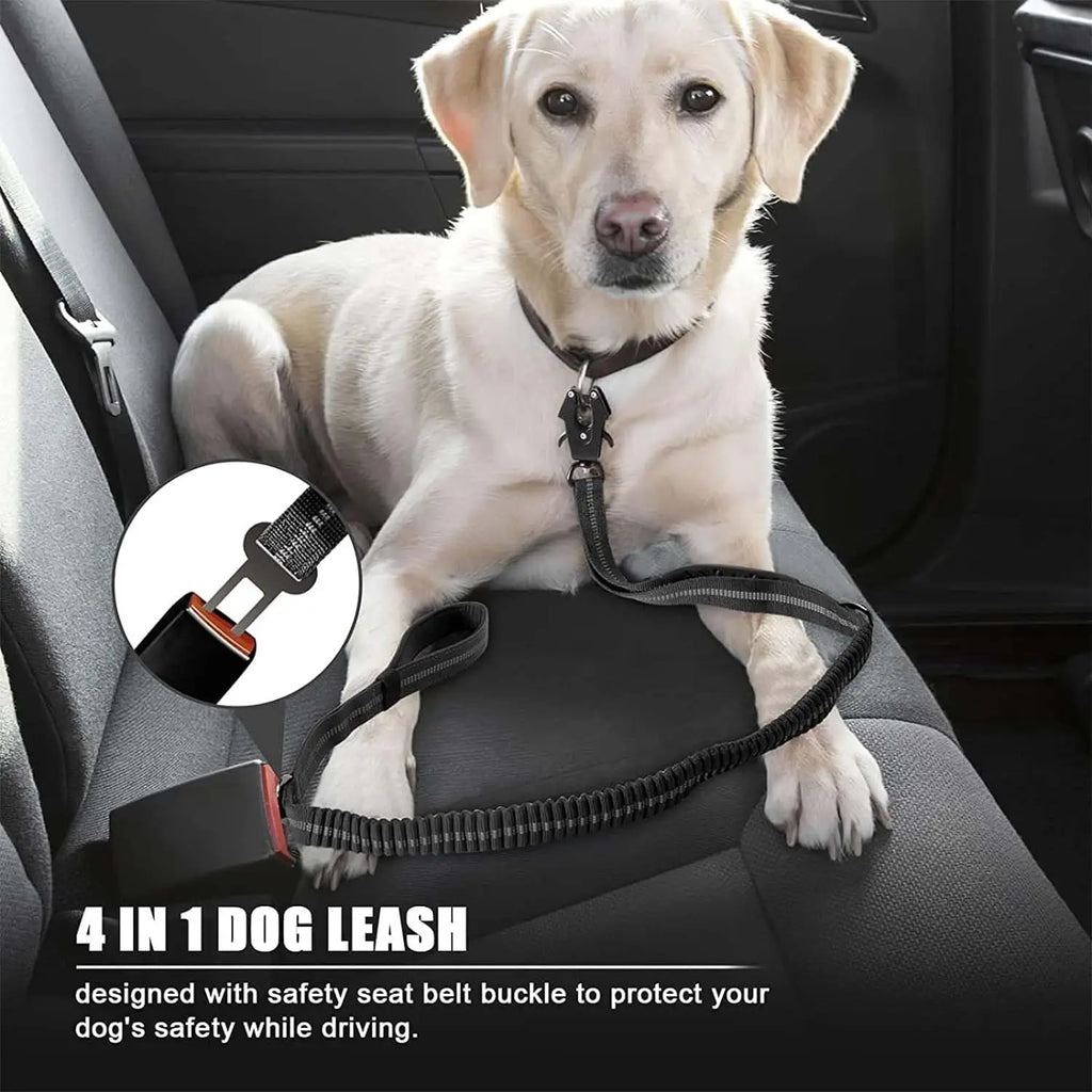 TactiLeash™ Reflective Bungee Dog Leash