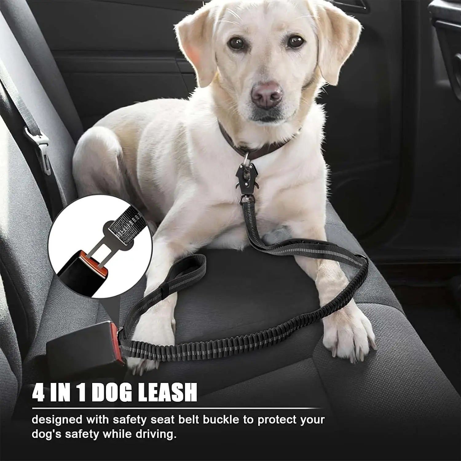 TactiLeash™ Reflective Bungee Dog Leash