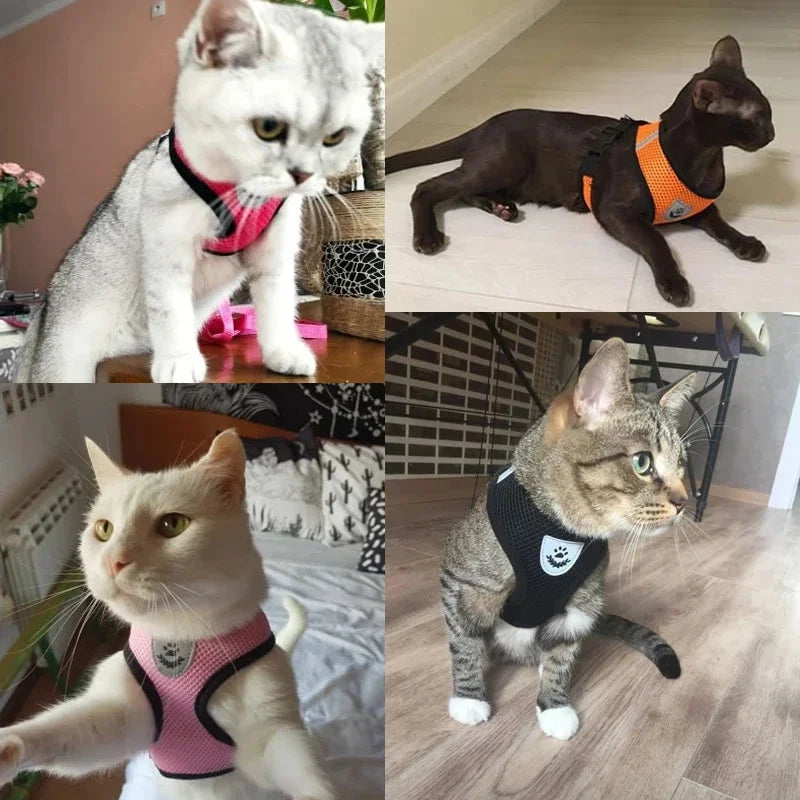 SafeFit™ Pet Harness Vest