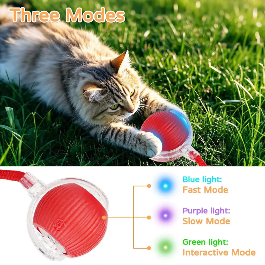 SmartRoll™ Interactive Pet Ball Toy