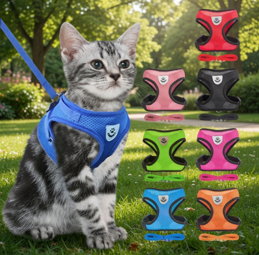 SafeFit™ Pet Harness Vest